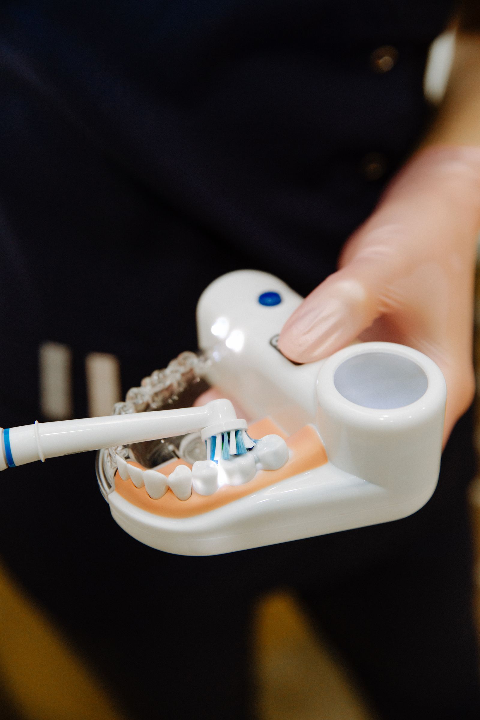 Dental Disease in Senior Pets: Why It's Riskier Than People Assume illustration