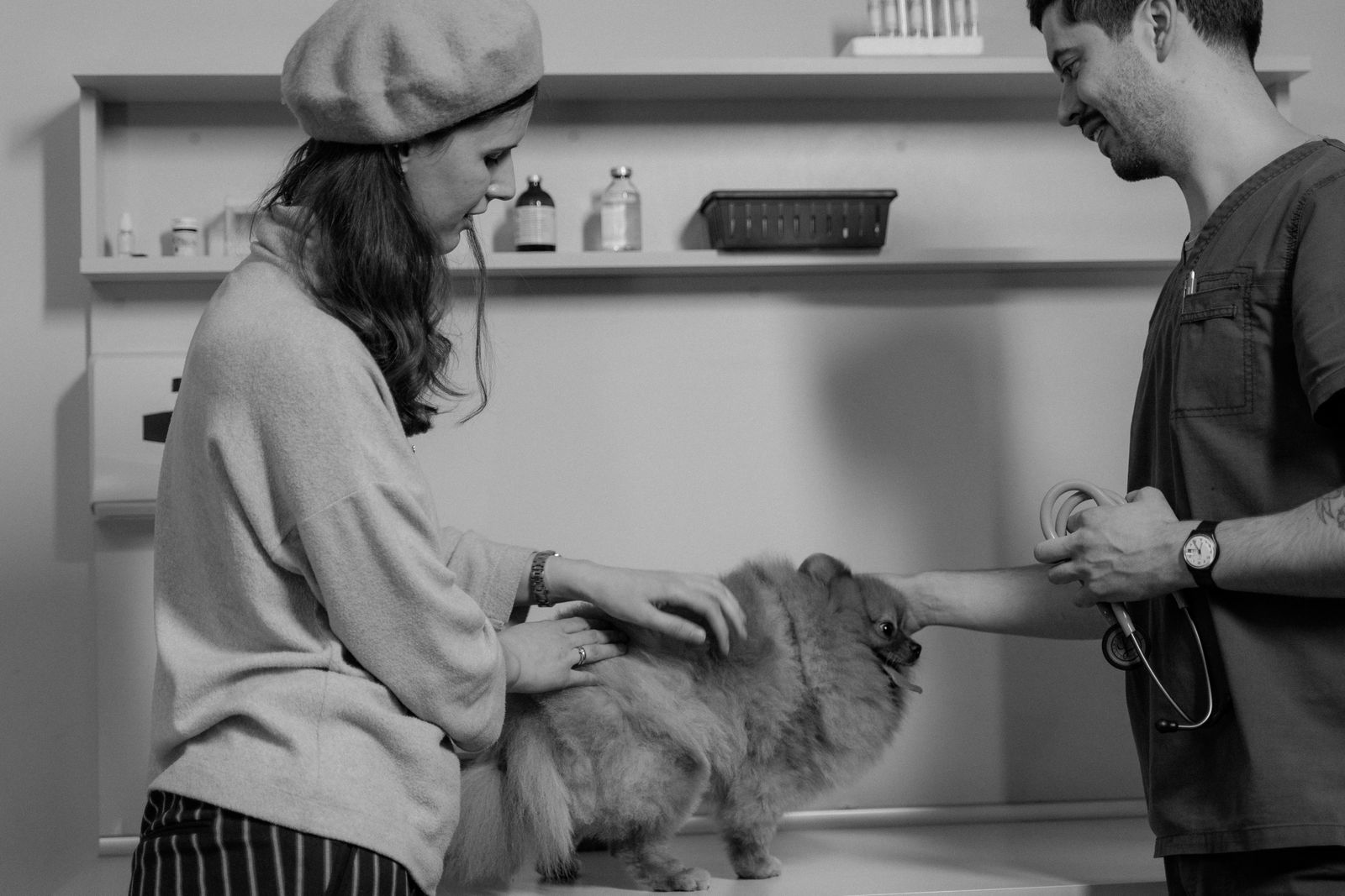 How Often Should a Senior Dog or Cat See the Vet? (It's Not Just "Every 6 Months") illustration