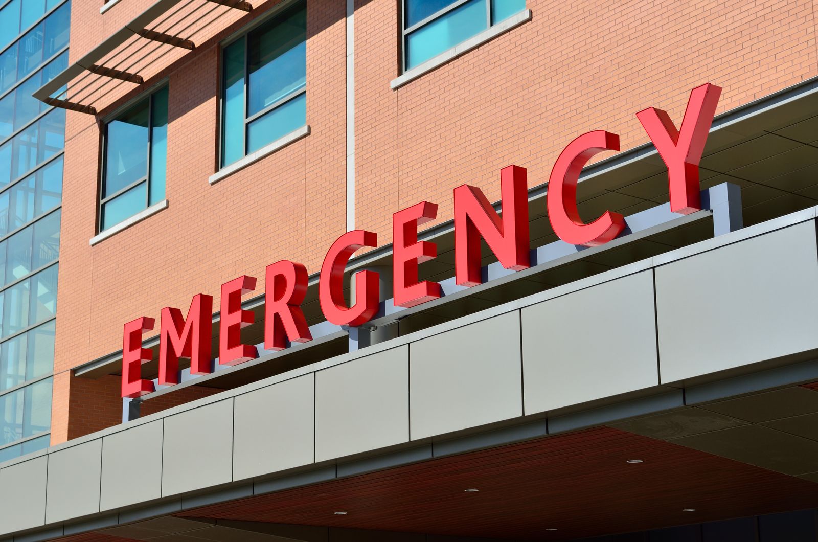 Senior Pet Symptoms: What's an Emergency vs. What Can Wait for a Regular Visit illustration
