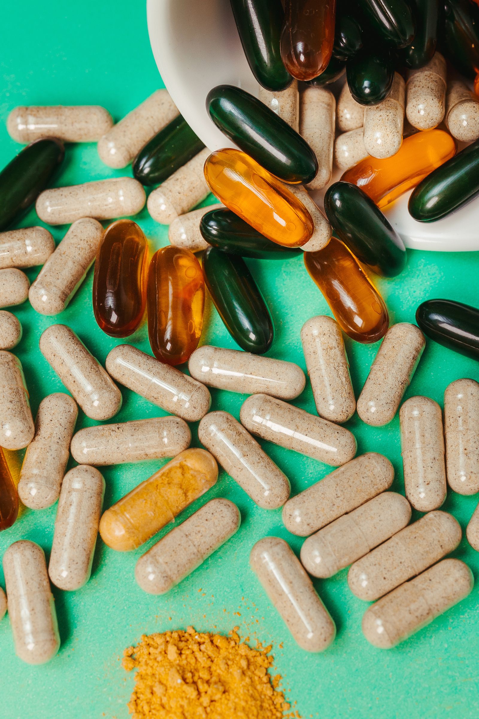 Senior Pet Supplements: What's Actually Worth Buying illustration